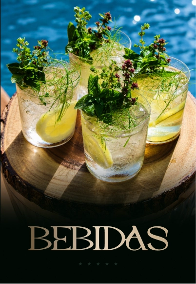 Módulo: Bebidas
